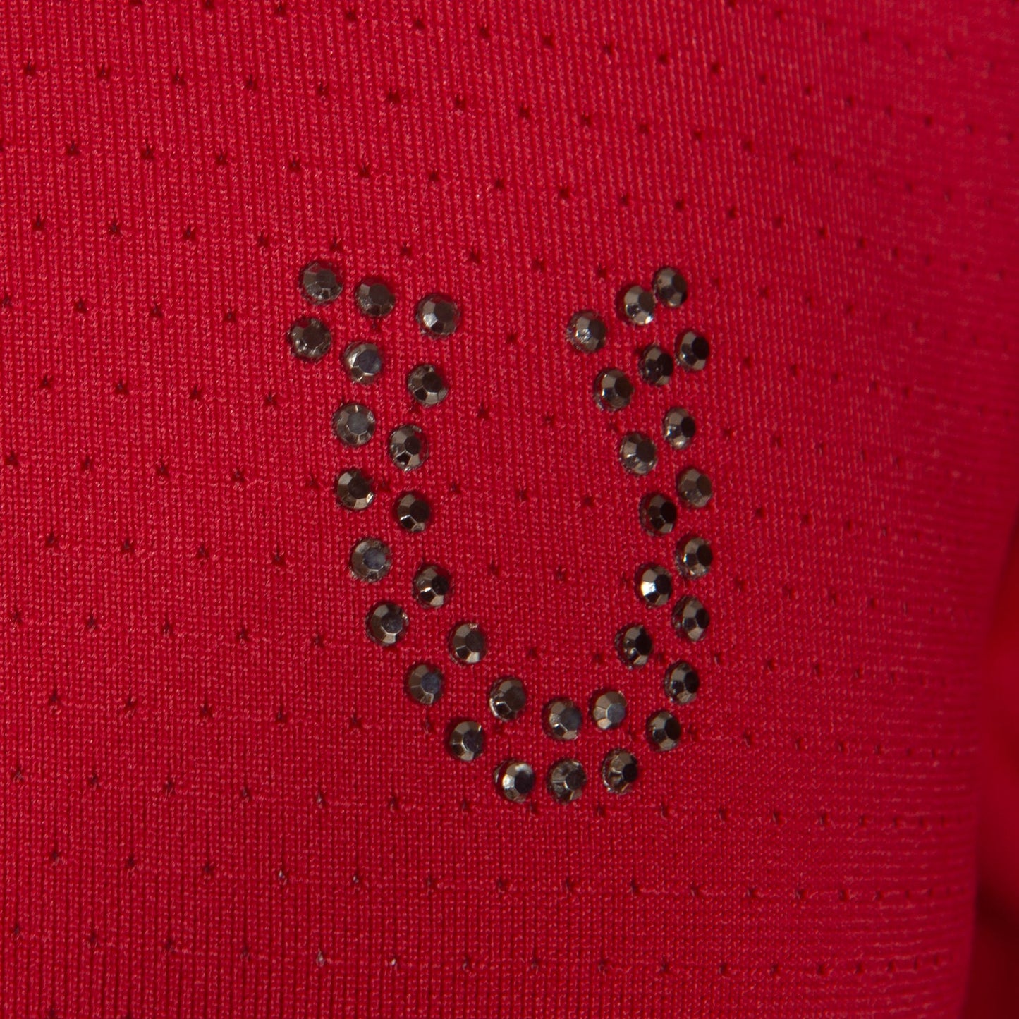 Blusa Treino Hipismo Training Tech Raglan LS Vinho - Lucky_U Riders
