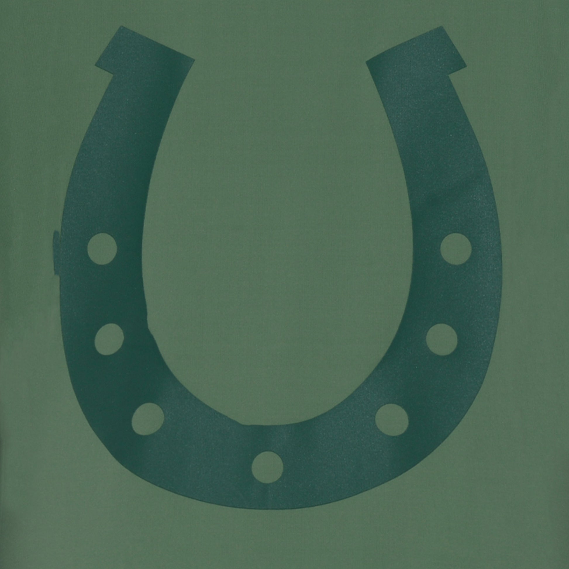Blusa Treino Hipismo Training Tech Raglan SS Infantil Verde Alecrim - Lucky_U Riders