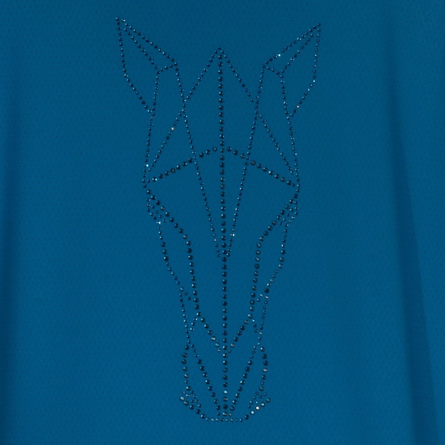 Blusa Treino Hipismo Training Tech Raglan LS Infantil Náutico - Lucky_U Riders