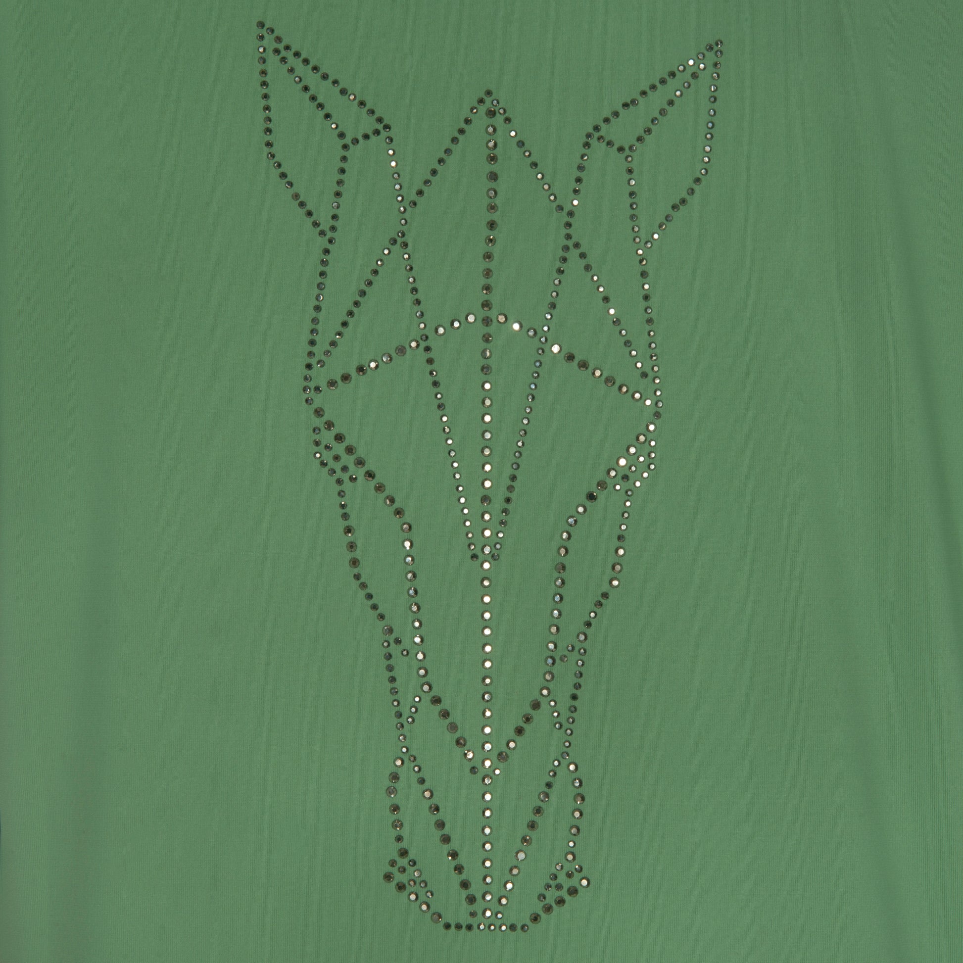 Blusa Treino Hipismo Training Tech Raglan SS Alecrim - Lucky_U Riders