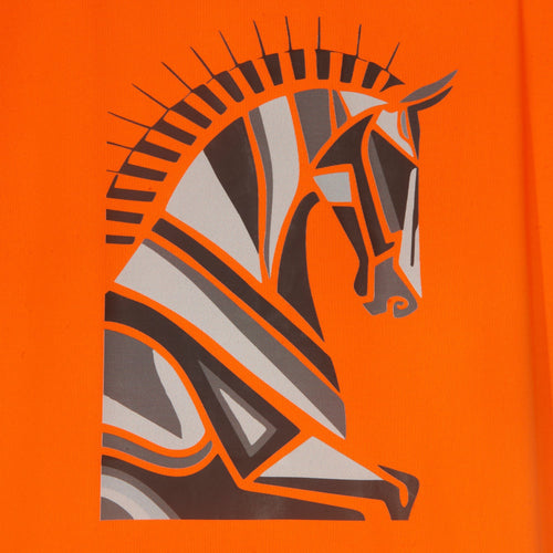 Blusa Treino Hipismo Training Tech Raglan SS Tangerina - Lucky_U Riders